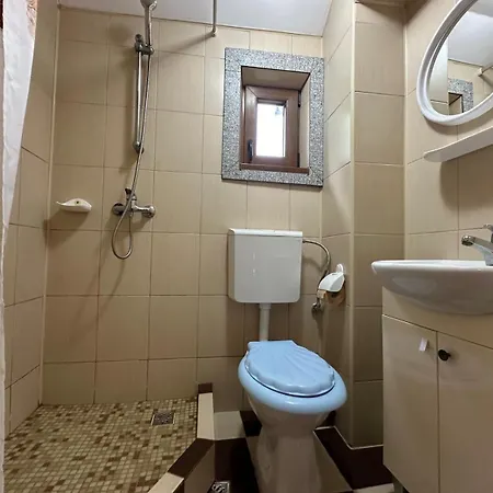 Casa Badea Tinica וילה