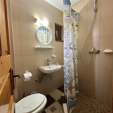 Casa Badea Tinica וילה