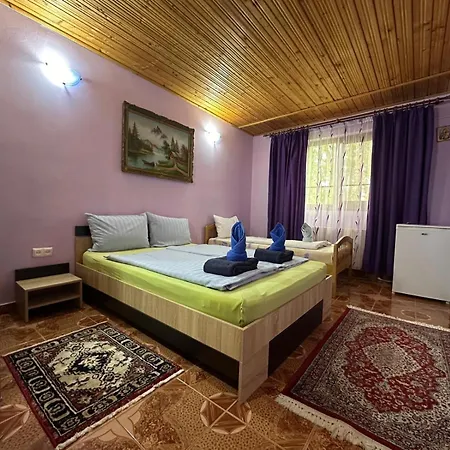 Casa Badea Tinica ונוס
