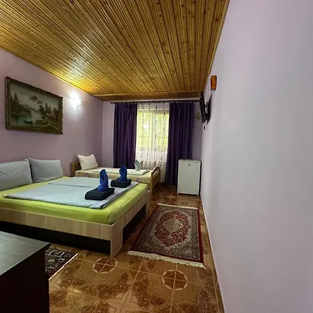 Casa Badea Tinica * ונוס