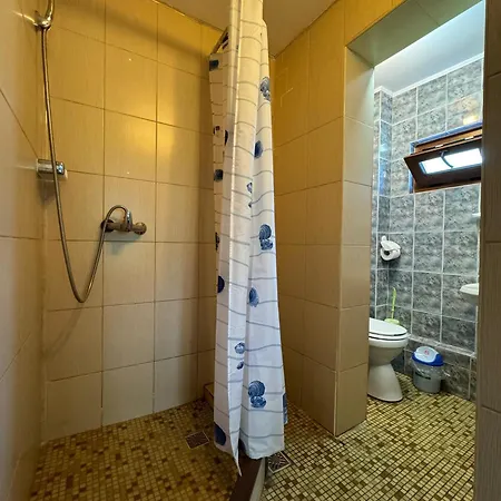 Casa Badea Tinica וילה