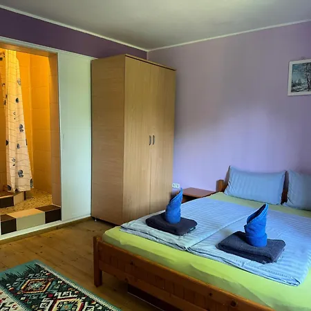 Casa Badea Tinica וילה