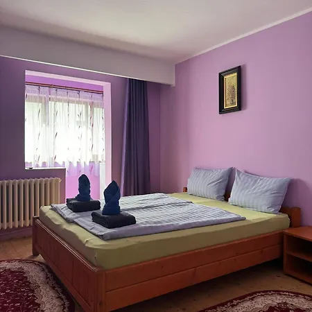 וילה Casa Badea Tinica