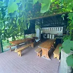 Casa Badea Tinica 别墅 维纳斯