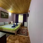 Casa Badea Tinica * 维纳斯
