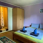 Casa Badea Tinica 别墅