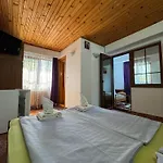 Casa Badea Tinica