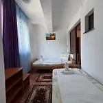 Casa Badea Tinica 别墅 *