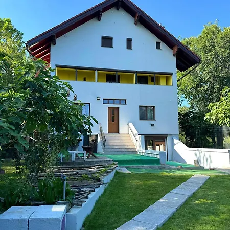 Vilă Casa Badea Tinica