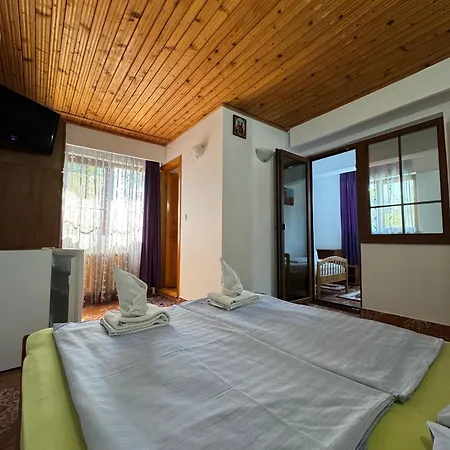 Casa Badea Tinica